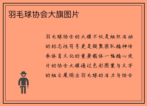 羽毛球协会大旗图片